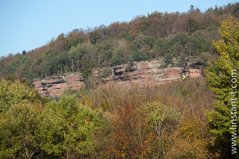 Photo n°: Dabo-074-jpg