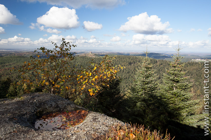 Photo n°: Dabo-112-jpg