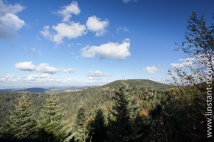 Photo n°: Dabo-115-jpg