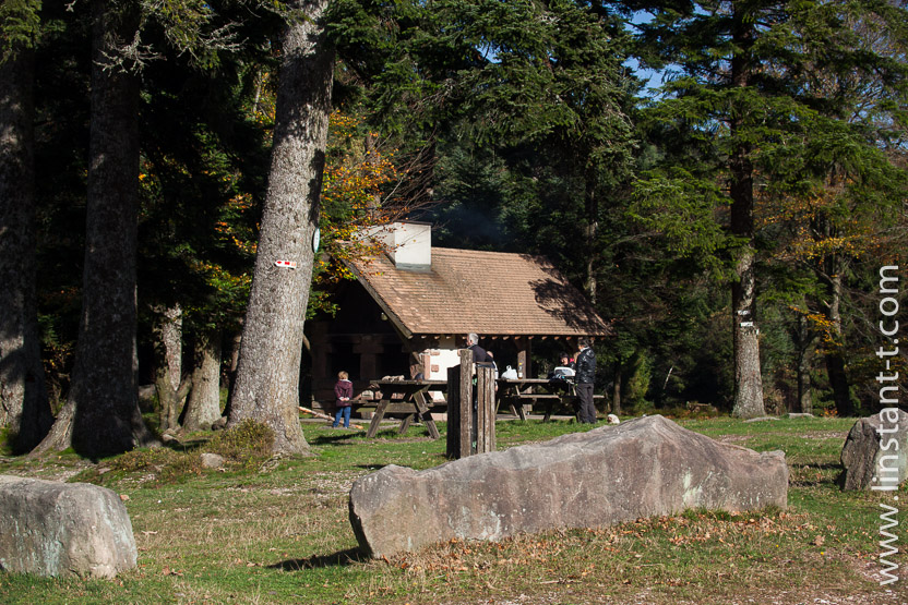 Photo n°: Dabo-135-jpg