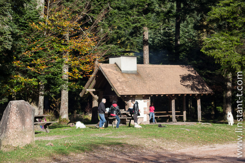 Photo n°: Dabo-136-jpg