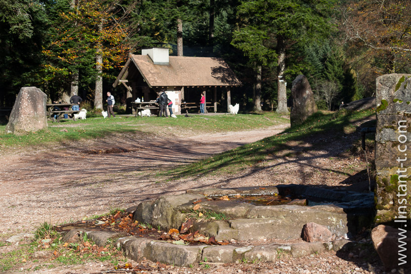 Photo n°: Dabo-141-jpg