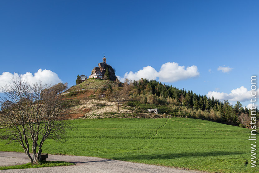 Photo n°: Dabo-153-jpg