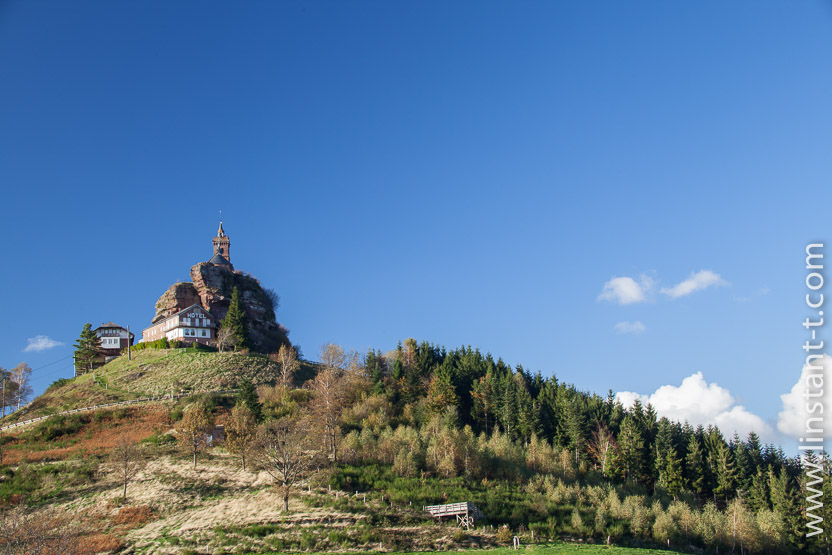 Photo n°: Dabo-159-jpg