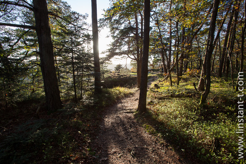 Photo n°: Dabo-177-jpg