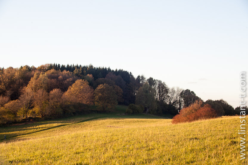 Photo n°: Dabo-183-jpg