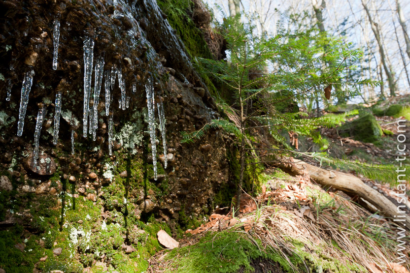 Photo n°: Glace-072-jpg