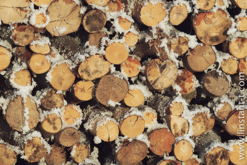 Photo n°: Stères-002-jpg