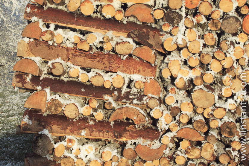 Photo n°: Stères-003-jpg