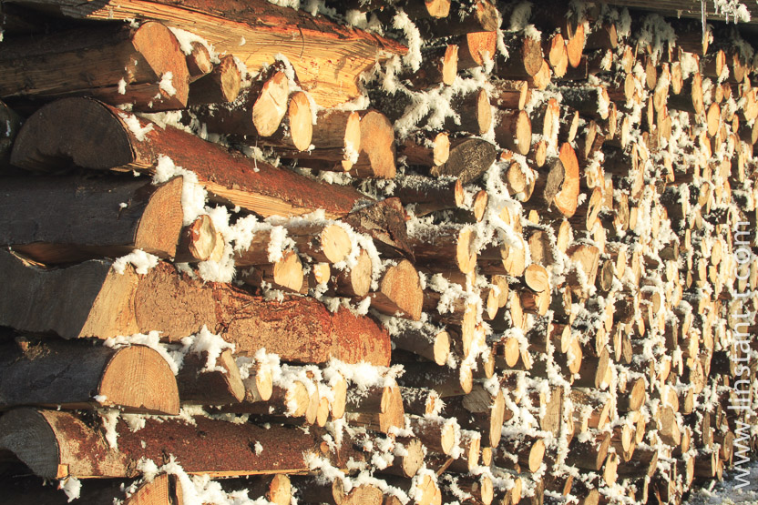 Photo n°: Stères-005-jpg